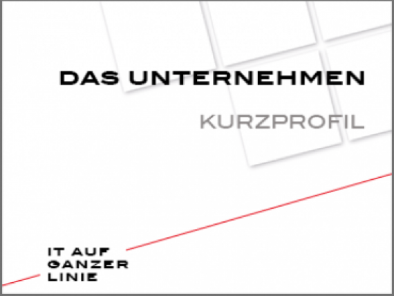 Das Unternehmen Kurzprofil2